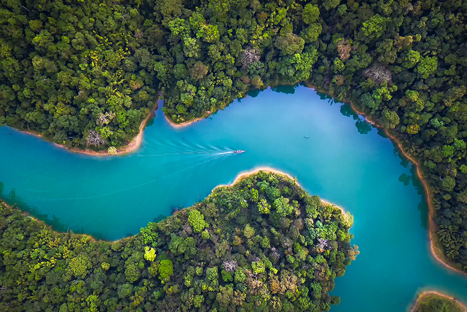 Forest blue river