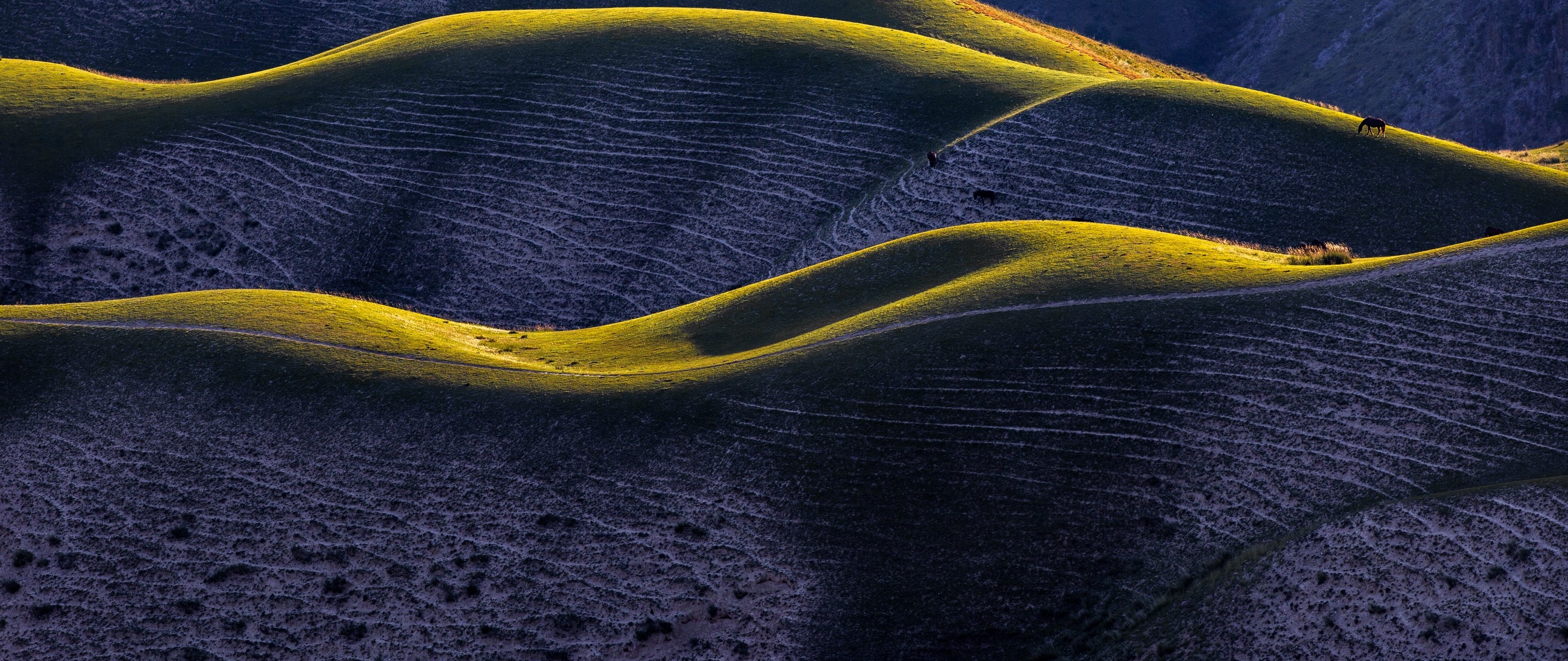 2026 Investment Themes