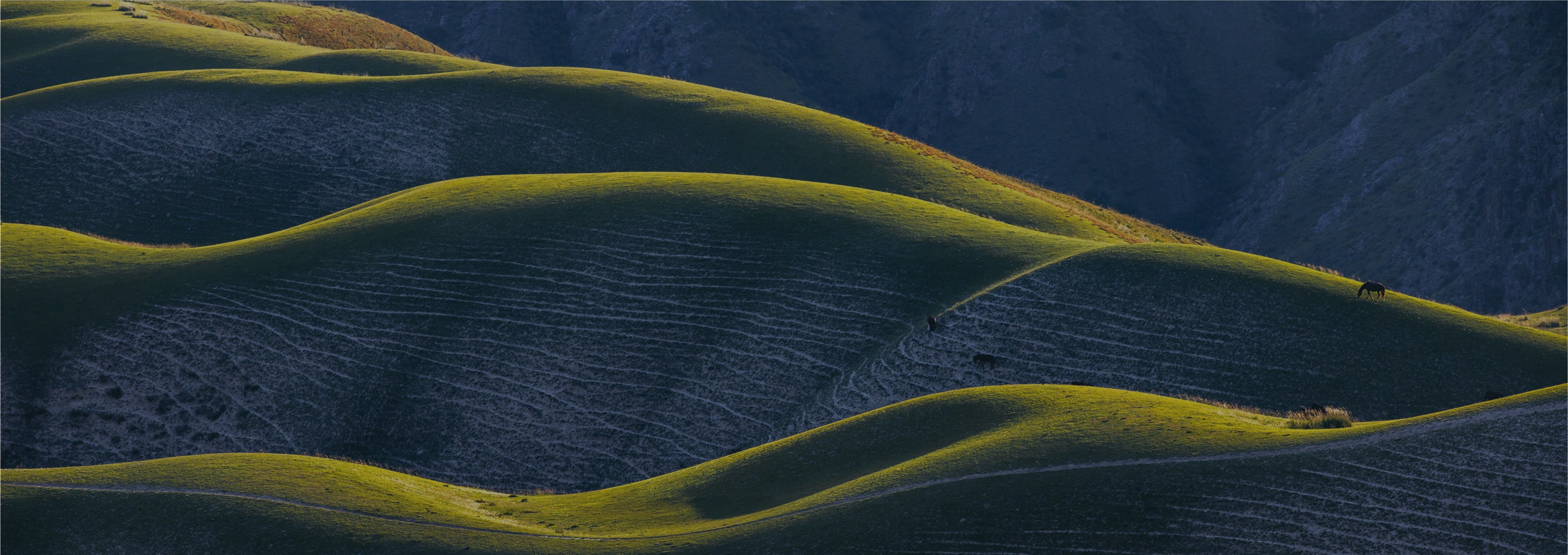 Our 2026 Investment Themes