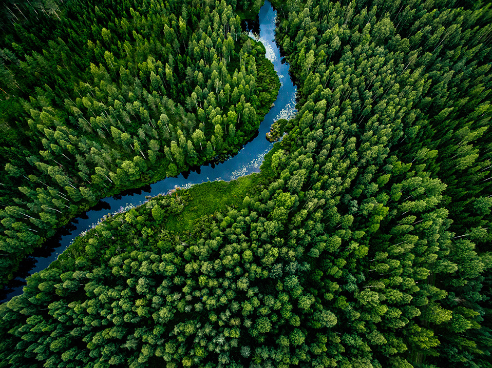 Forest river